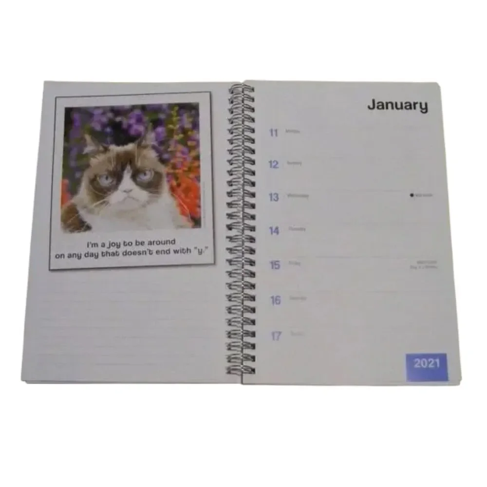 Grumpy Cat 2021 Planner, Weekly & Monthly, MEMES! Book, Spiral bound